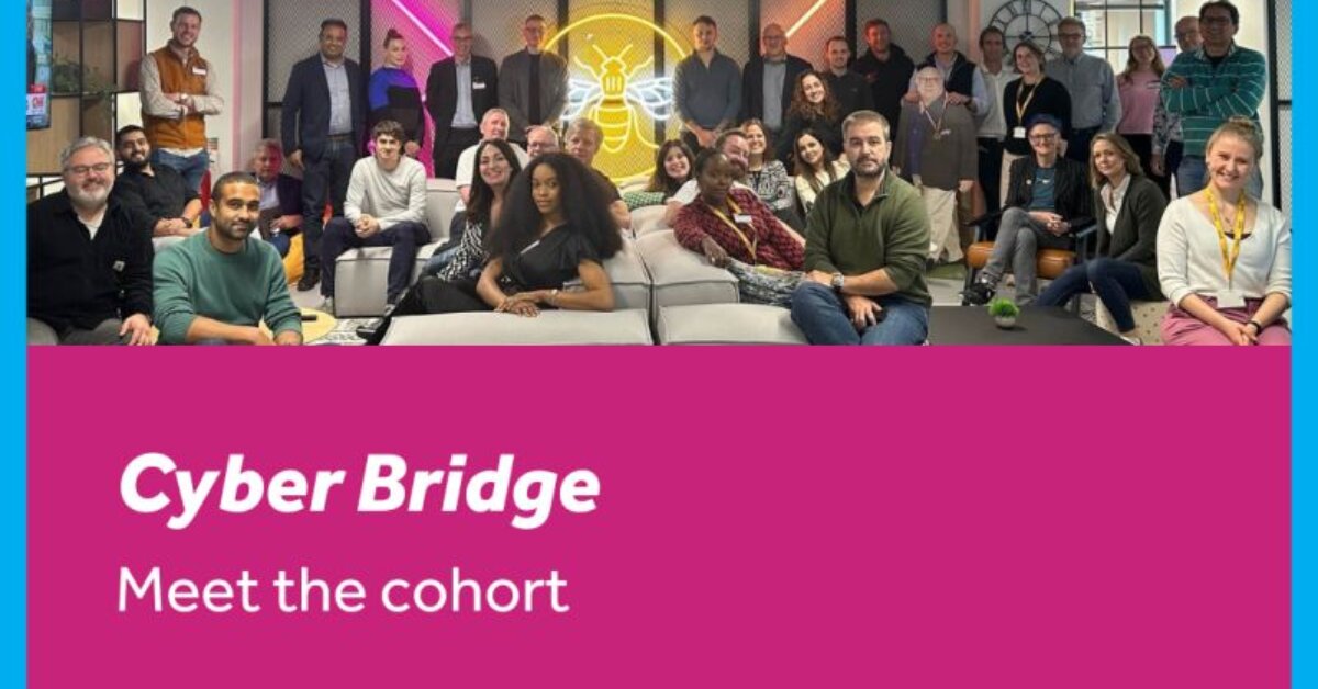 Taking part in the Cyber Bridge programme